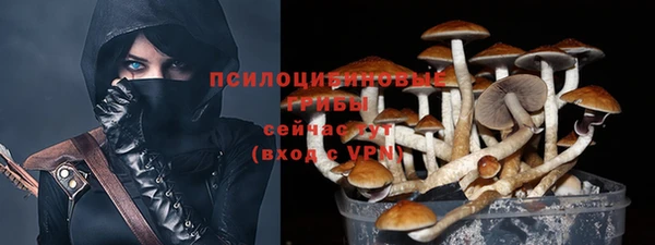 стафф Абинск