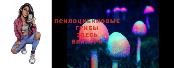 шишки Михайловск