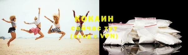 шишки Михайловск