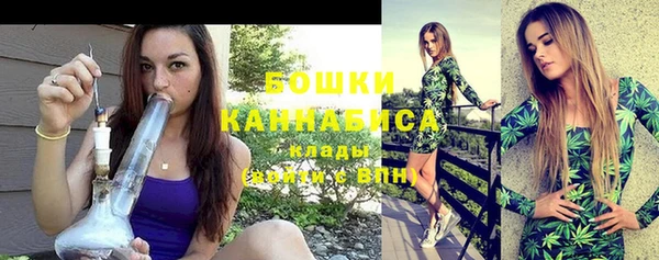 шишки Михайловск