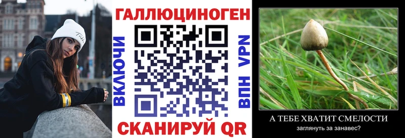 МЕГА вход  Нариманов  Галлюциногенные грибы GOLDEN TEACHER  цены  