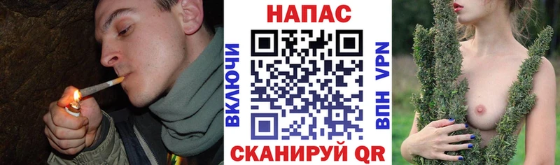 Каннабис гибрид  Нариманов 